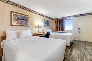 Room, 1 Double Bed, Accessible