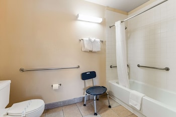Room, 1 Double Bed, Accessible