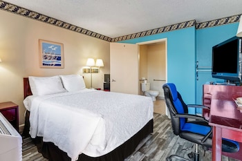 Room, 1 Double Bed, Accessible