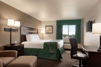 Room, 1 Queen Bed, Non Smoking