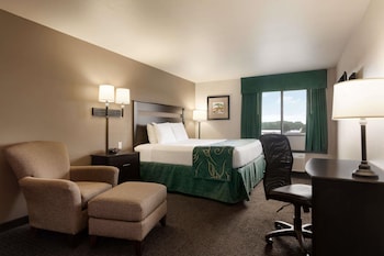 Room, 1 Queen Bed, Non Smoking