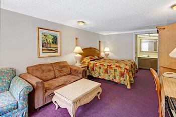 Room, 1 King Bed