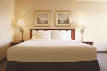 Room, 1 King Bed, Smoking