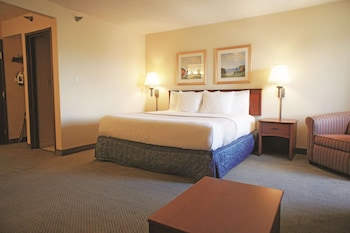 Suite, 1 Bedroom, Non Smoking
