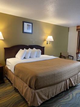 Room, 1 King Bed, Non Smoking