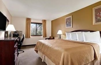 Room, 1 King Bed, Non Smoking