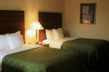 Standard Double Room, Refrigerator & Microwave