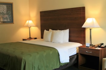 Standard Room, 1 King Bed, Smoking