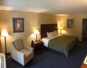 Standard Room, 1 King Bed, Refrigerator & Microwave