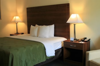 Standard Room, 1 King Bed, Refrigerator & Microwave