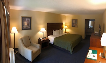 Standard Room, 1 King Bed, Refrigerator & Microwave