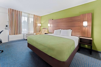 Room, 1 King Bed, Accessible, Non Smoking