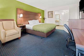 Room, 1 King Bed, Accessible, Non Smoking