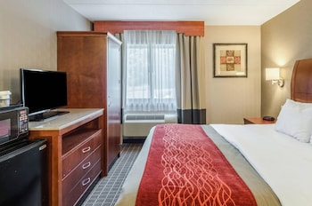 Room, 1 King Bed, Accessible, Non Smoking