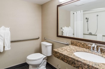 Room, 1 King Bed, Accessible, Non Smoking
