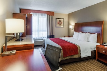 Standard Room, 1 King Bed, Non Smoking