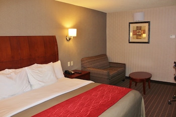 Standard Room, 1 King Bed, Non Smoking