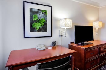 Room, 1 King Bed