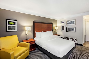 Room, 1 King Bed