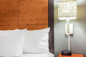 Room, 1 King Bed