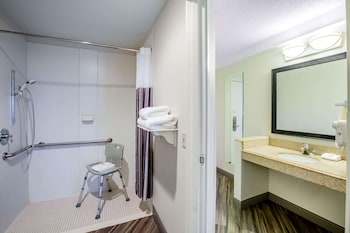 Room, 1 King Bed, Accessible, Non Smoking (Mobility, Roll-In Shower)