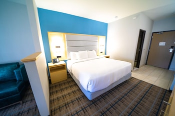 Standard Room, 1 King Bed, Non Smoking, Refrigerator & Microwave (Pet Friendly;with Sofabed)