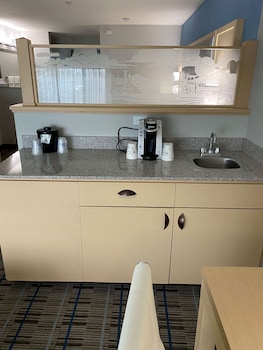 Standard Room, 1 King Bed, Non Smoking, Refrigerator & Microwave (Pet Friendly;with Sofabed)