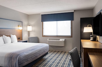 Room, 1 King Bed, Non Smoking, Accessible