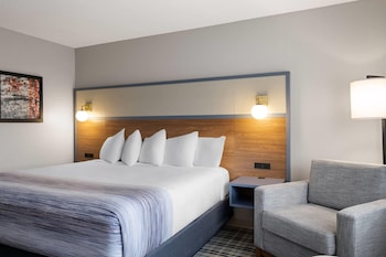 Room, 1 King Bed, Non Smoking