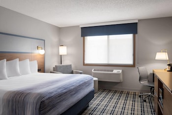 Room, 1 King Bed, Non Smoking