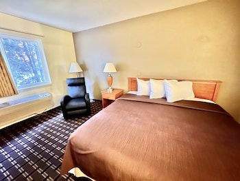 Business Room, 1 King Bed, Non Smoking