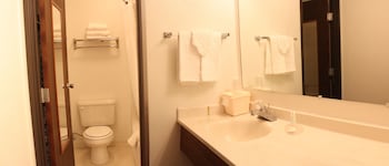 Business Room, 1 King Bed, Non Smoking
