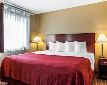 Standard Room, 1 King Bed, Non Smoking