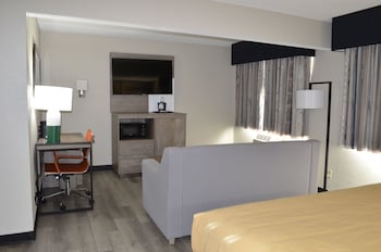 Suite, 1 King Bed with Sofa bed, Non Smoking