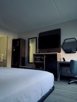 Room, 1 King Bed, Mobility Accessible, Non Smoking (Bathtub w/ Grab Bars)