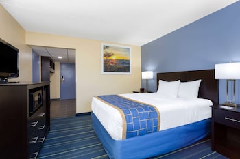 Room, 1 Queen Bed, Accessible, Ground Floor (Mobility,tub w grab bars)