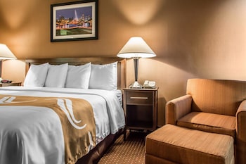 Standard Room, 1 King Bed, Non Smoking