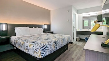 Standard Room, 1 Double Bed, Accessible, Non Smoking