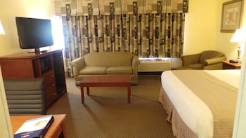 Suite, 1 King Bed