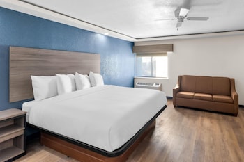 Suite, 1 King Bed