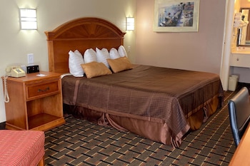 Room, 1 King Bed