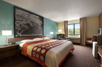 Room, 1 Queen Bed