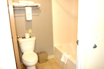 Studio Suite, 1 King Bed (NO PETS)