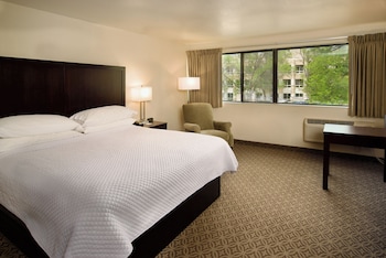 Business Room, 1 King Bed
