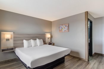 Standard Room, 1 King Bed, Non Smoking