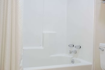 Studio Suite, Multiple Beds, Non Smoking