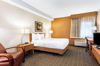 Room, 1 Double Bed, Mobility Accessible, Non Smoking (Hearing Accessible, Tub w/Grab Bars)
