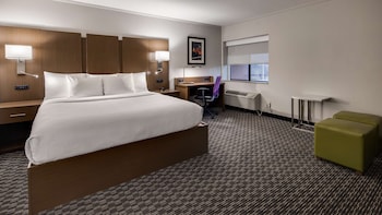 Suite, 1 King Bed, Non Smoking, Refrigerator & Microwave (with Sofabed)