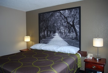 Room, 1 King Bed, Accessible, Non Smoking