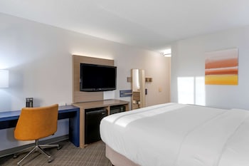 Standard Room, 1 King Bed, Non Smoking